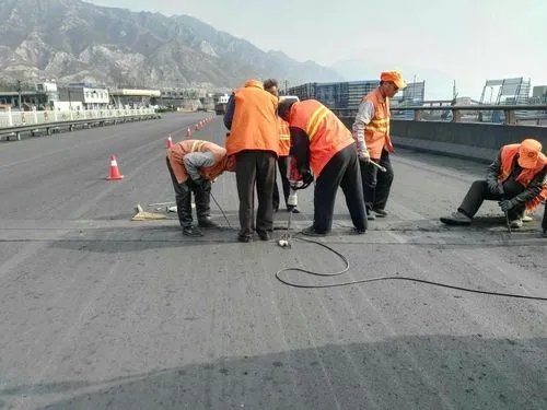 杭锦后道路桥梁病害治理